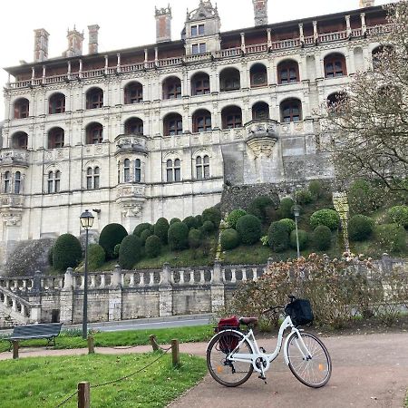 Gite Blois Chatel ภายนอก รูปภาพ