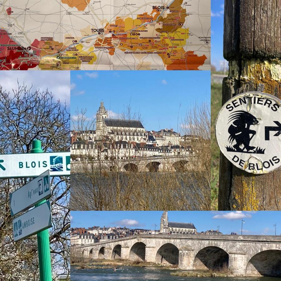Gite Blois Chatel ภายนอก รูปภาพ