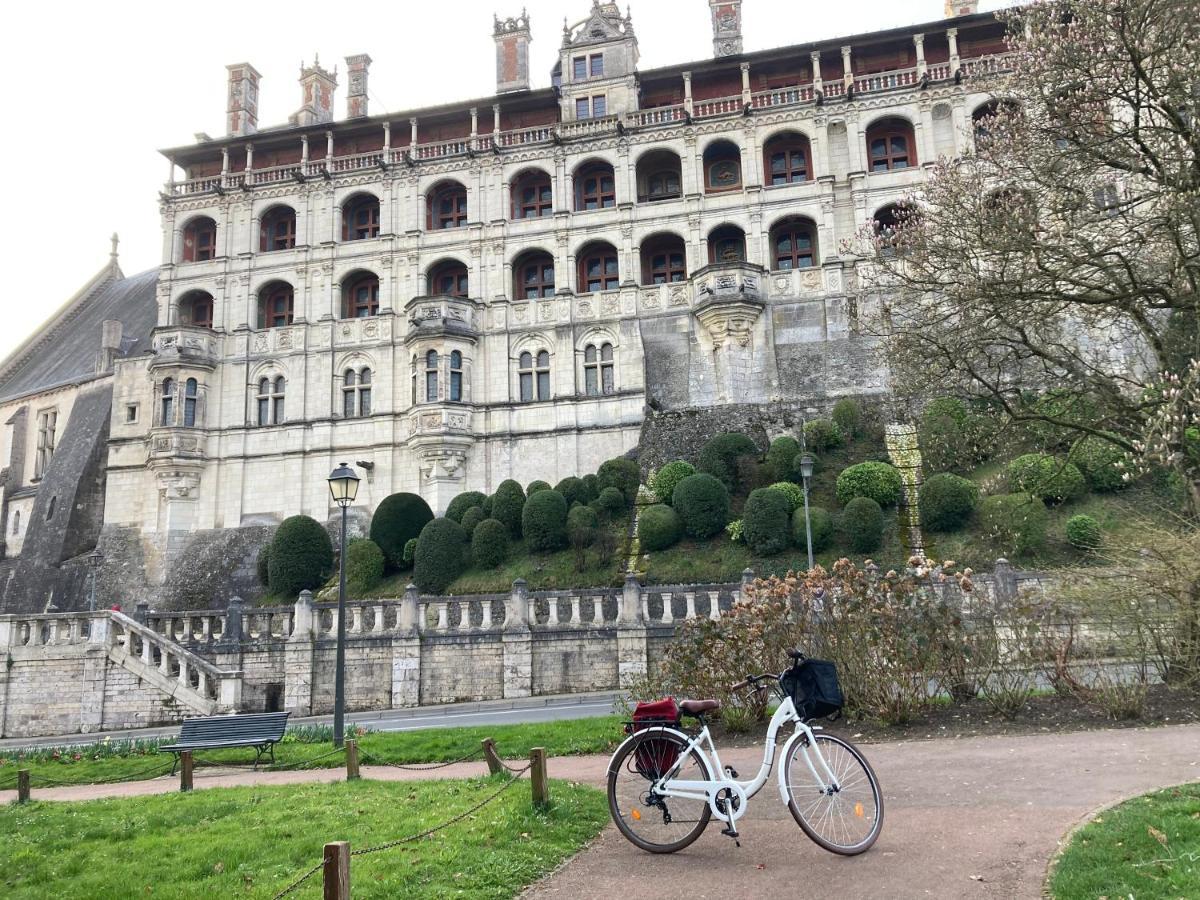 Gite Blois Chatel ภายนอก รูปภาพ